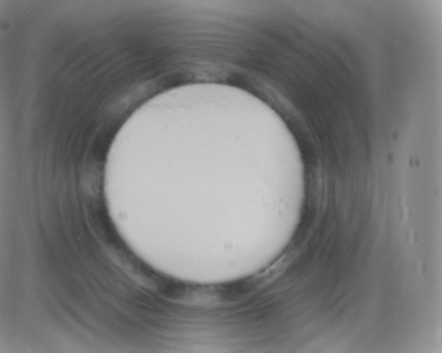 X0000082690078200702232215