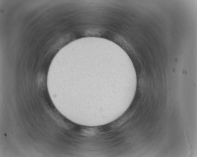 X0000082690079200702232215