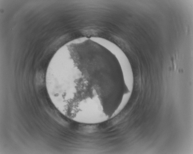 X0000082690081200702232215