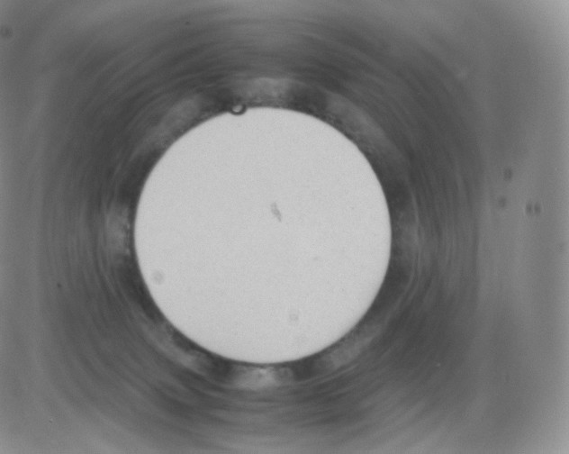 X0000082690083200702232215