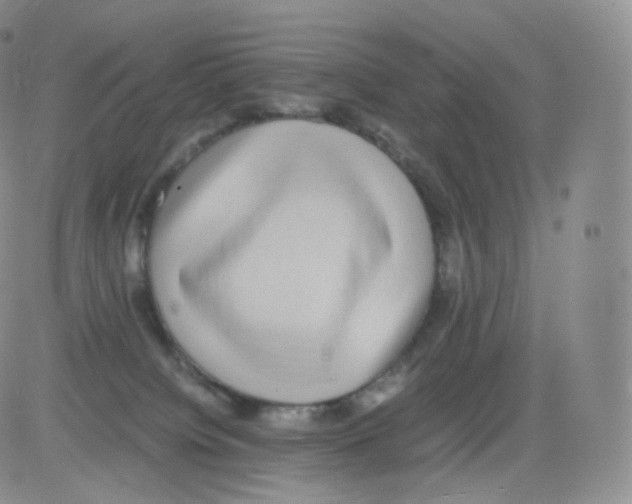 X0000082690084200702232215