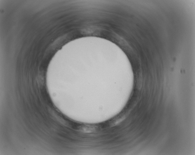 X0000082690085200702232215