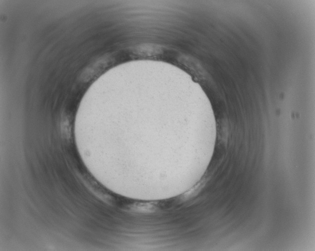 X0000082690086200702232215