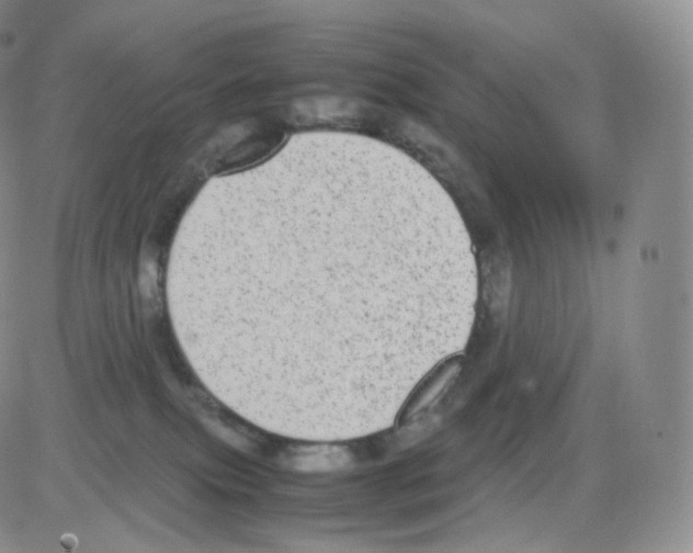 X0000082690087200702232215