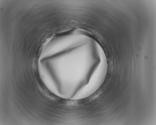 X0000082690088200702232215