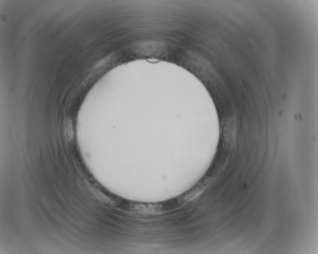 X0000082690089200702232215