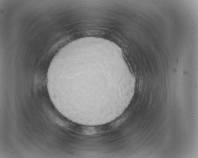 X0000082690091200702232216