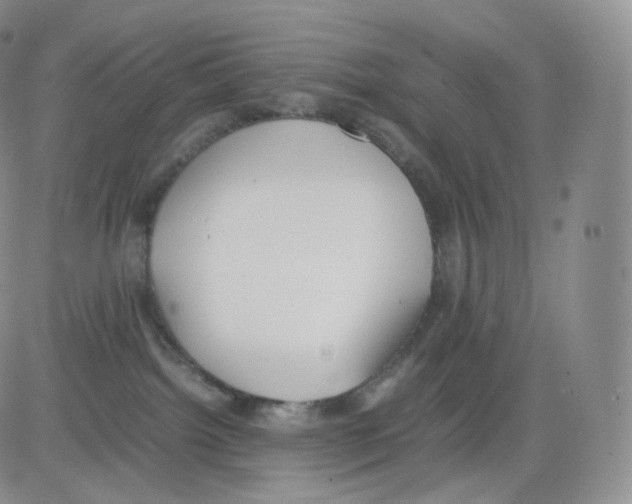 X0000082690092200702232216