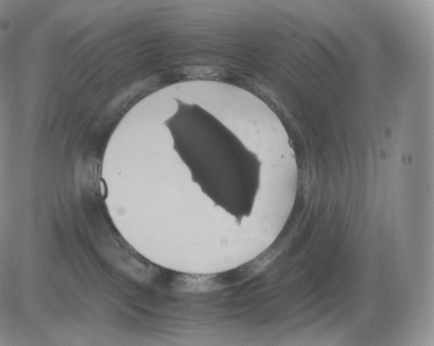 X0000082690093200702232216