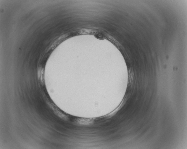 X0000082690094200702232216