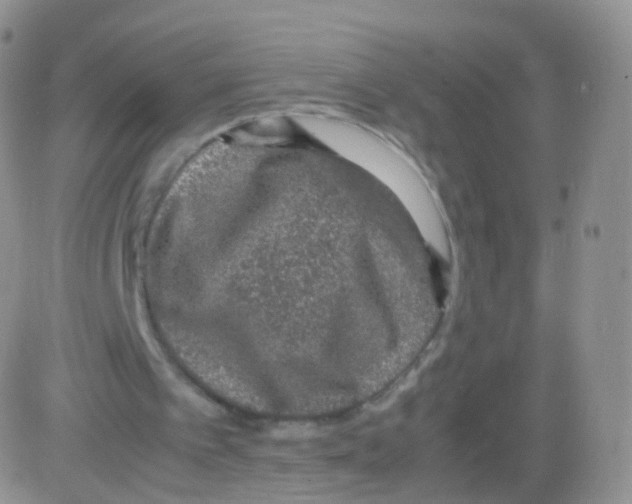 X0000082690097200702232215