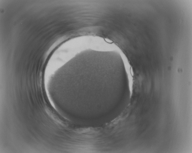 X0000082690100200702232215