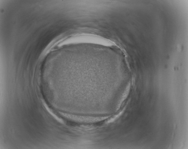 X0000082690101200702232215