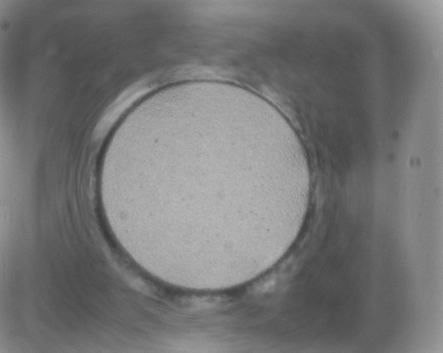 X0000082690103200702232215