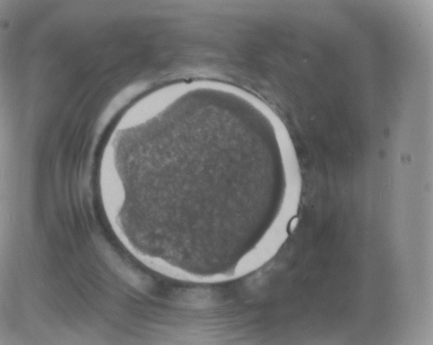 X0000082690104200702232215