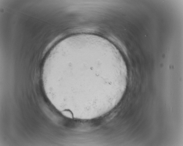 X0000082690107200702232215