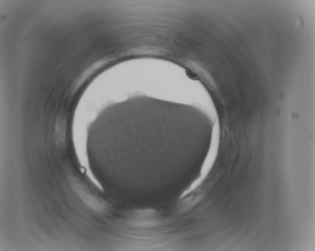 X0000082690108200702232215