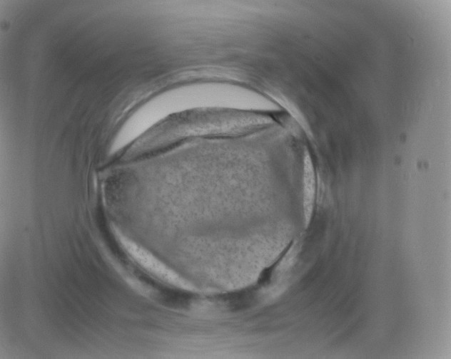 X0000082690109200702232215