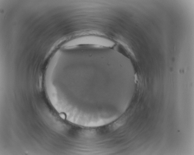 X0000082690110200702232215