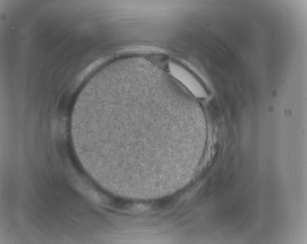 X0000082690111200702232215