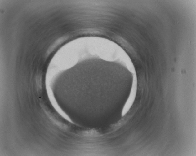 X0000082690112200702232215