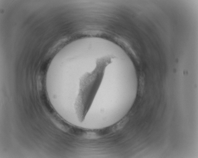 X0000082690114200702232215