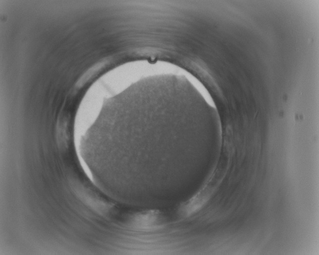 X0000082690116200702232214