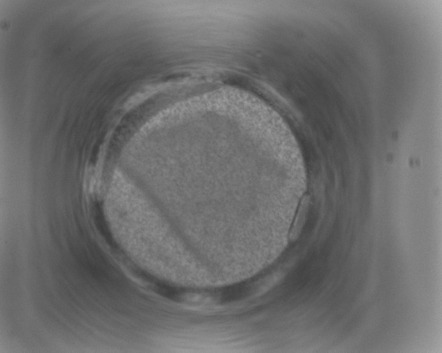 X0000082690117200702232214