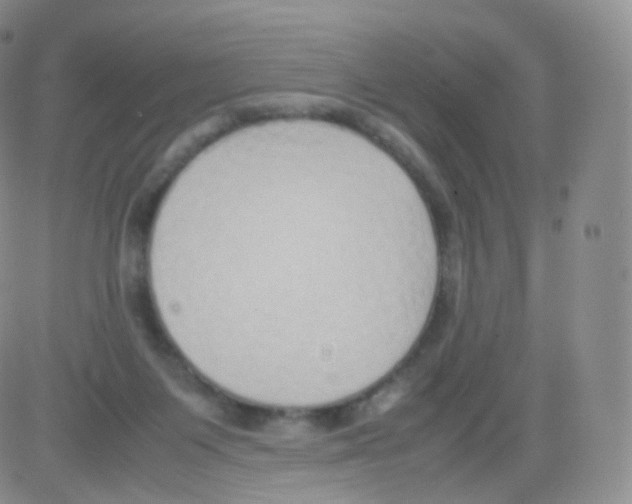 X0000082690119200702232214