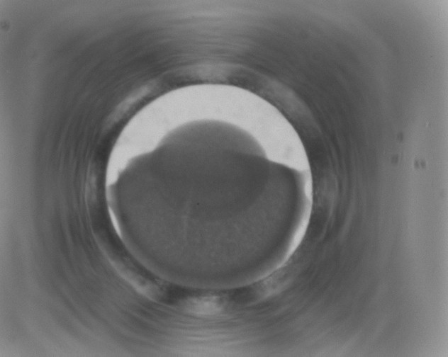 X0000082690120200702232214