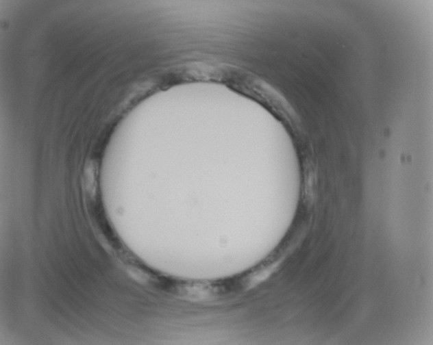 X0000082690121200702232214