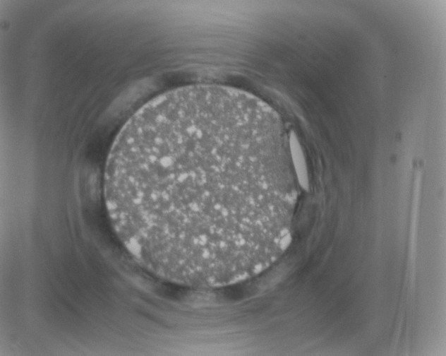 X0000082690123200702232214