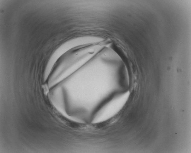 X0000082690125200702232214