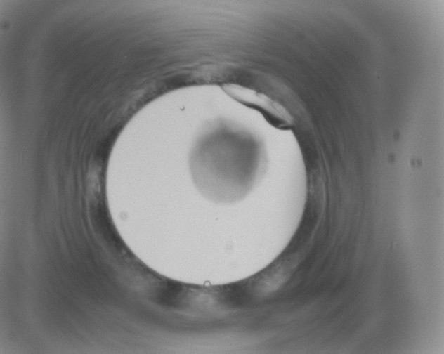 X0000082690127200702232214