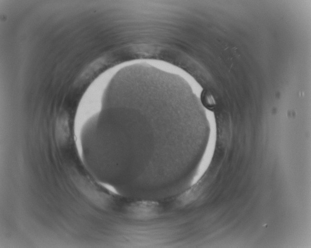 X0000082690128200702232214