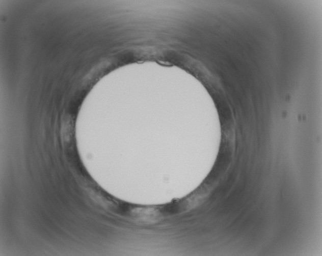 X0000082690133200702232214