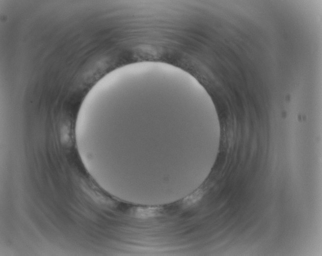 X0000082690134200702232214