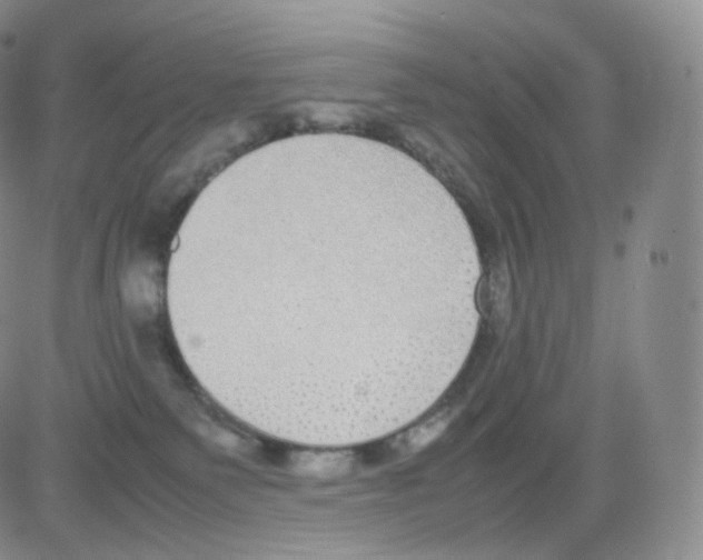 X0000082690135200702232214