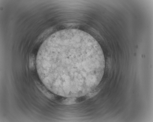 X0000082690138200702232214