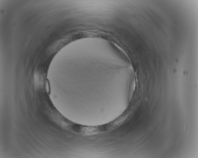 X0000082690139200702232214