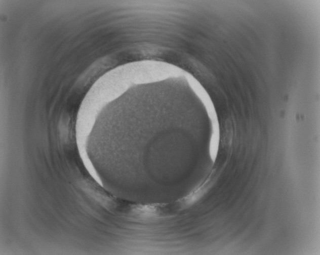 X0000082690140200702232214