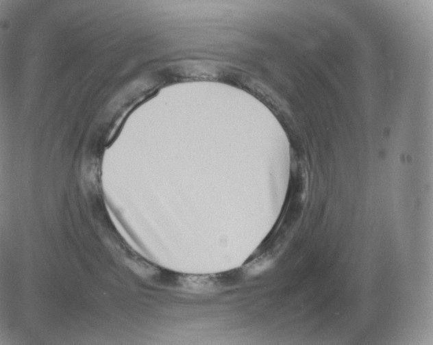 X0000082690141200702232214