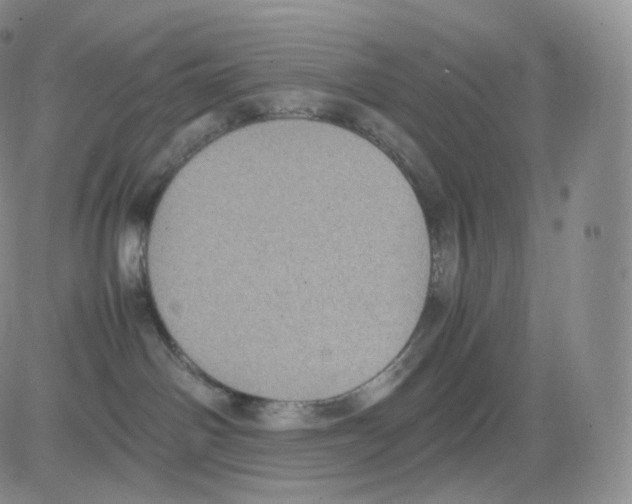 X0000082690142200702232214