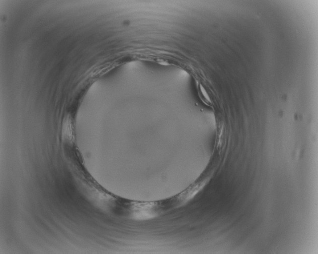 X0000082690143200702232214