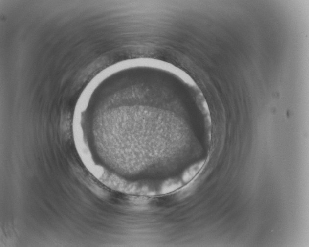 X0000082690144200702232214