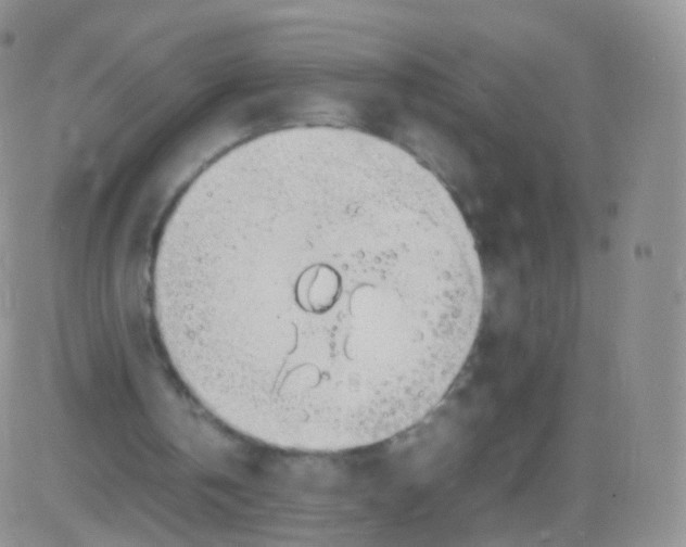 X0000082690146200702232213