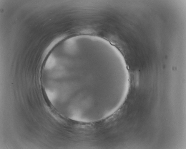 X0000082690147200702232213