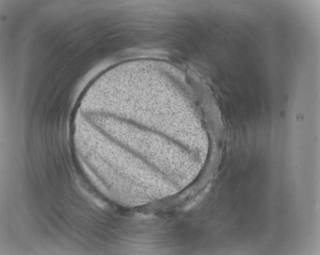 X0000082690148200702232213