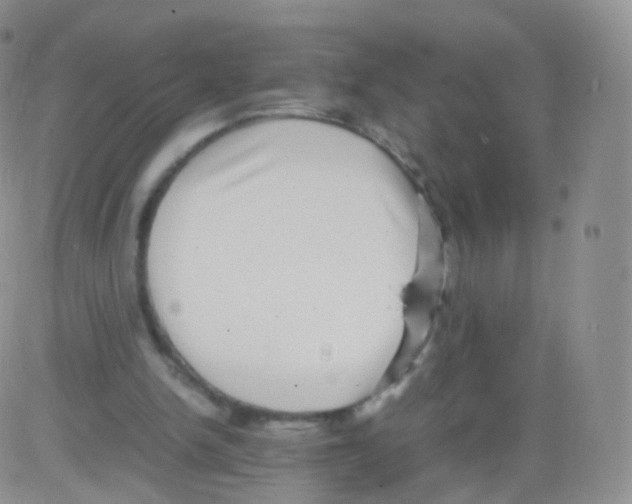 X0000082690150200702232213