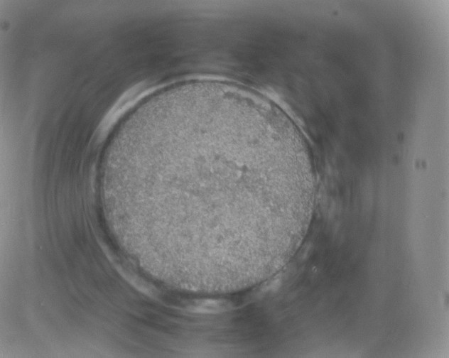 X0000082690151200702232213